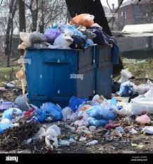 Best Yard Waste Removal  in Braska City, NE