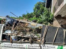 Best Attic Cleanout  in Braska City, NE